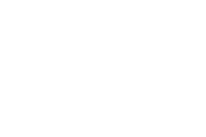 Recor bedding