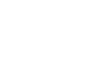 HANS